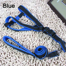 Harness and Leash for Dog