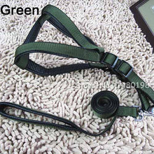 Harness and Leash for Dog