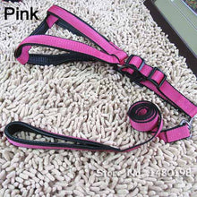 Harness and Leash for Dog
