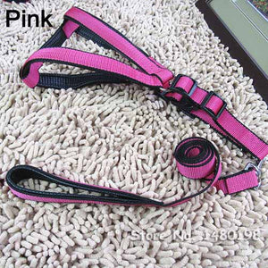 Harness and Leash for Dog