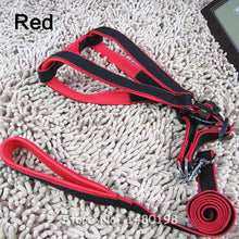Harness and Leash for Dog