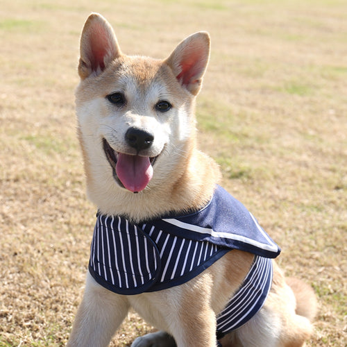 PAWZRoad Pet Dog Harness Puppy Clothes Dog
