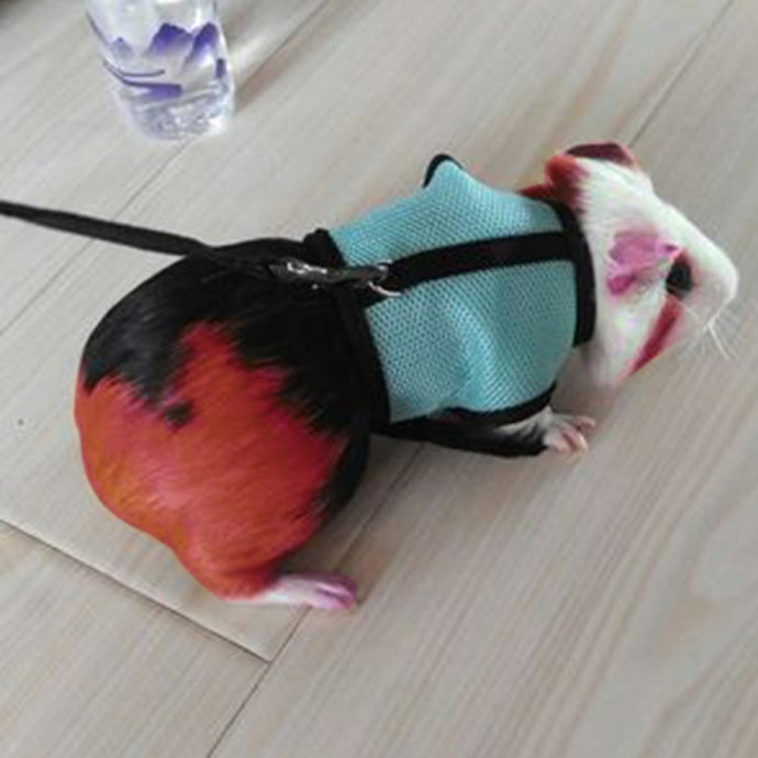 New Dog Harness Goods for Pets Dog