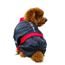 Luxury Raincoat For Dog