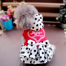 Princess Winter Clothing For Dogs