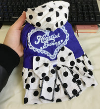 Princess Winter Clothing For Dogs