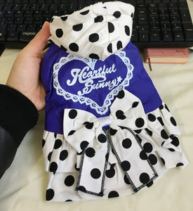 Princess Winter Clothing For Dogs