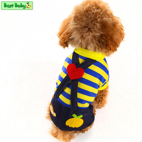 Yellow Rose Blue Dog