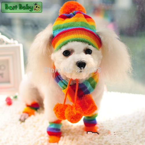 Winter Pet Puppy Accessories For Dogs
