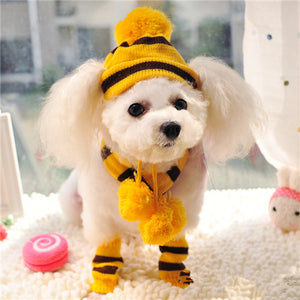 Winter Pet Puppy Accessories For Dogs