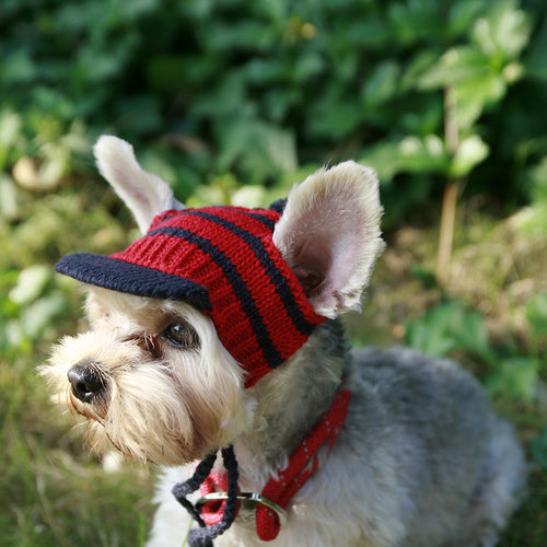 Luxury Knitting Dog-accessories