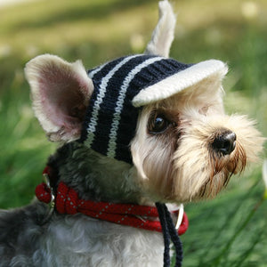 Luxury Knitting Dog-accessories