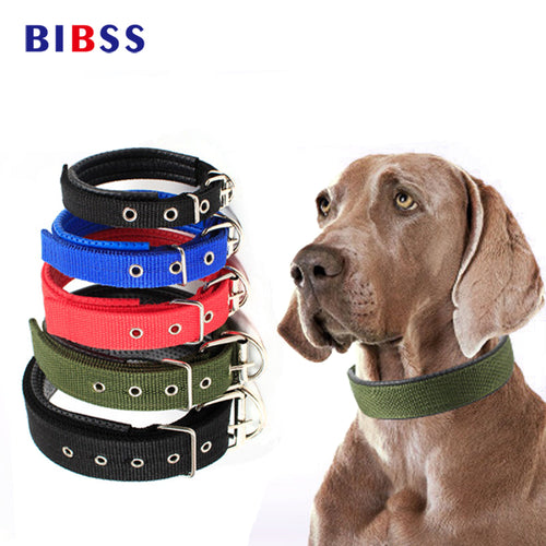 Puls Dog Collar Leash XL Size Nylon Leather Cat