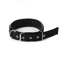 Puls Dog Collar Leash XL Size Nylon Leather Cat