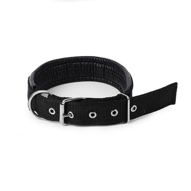 Puls Dog Collar Leash XL Size Nylon Leather Cat