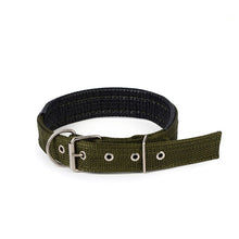 Puls Dog Collar Leash XL Size Nylon Leather Cat