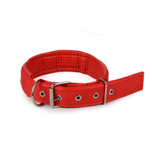 Puls Dog Collar Leash XL Size Nylon Leather Cat