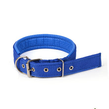 Puls Dog Collar Leash XL Size Nylon Leather Cat