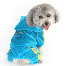 Bling Velvet Pet Dog