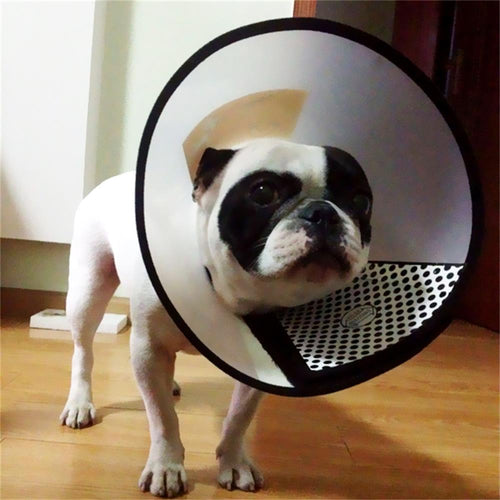 7 Size Comfy Pet Dog