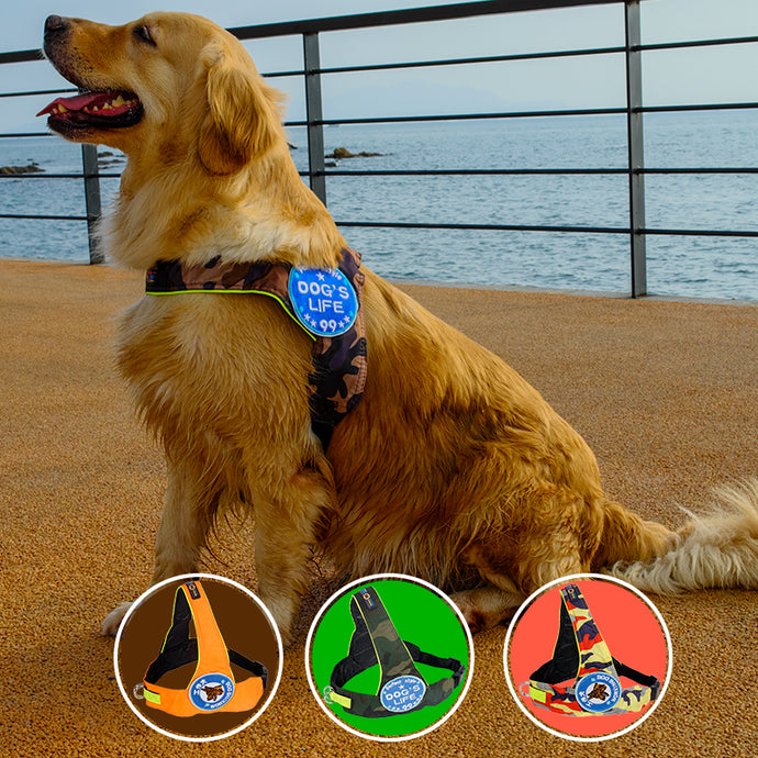 Multifunction Large Pet Working Dogs